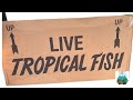 First Live Fish Unboxing