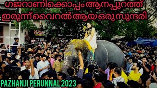 പഴഞ്ഞി ഗജ സംഗമം | PAZHANJI GAJA SAMGAMAM ഗജറാണിക്കൊപ്പം സുന്ദരി #viralgirl #pazhanjigajasangamam2023