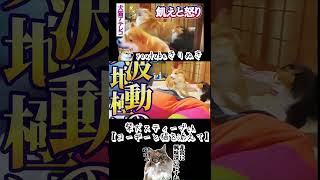 飢えと怒り 切り抜き2 #アテレコ #柴犬スティーブ #shorts