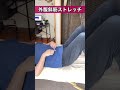 【テニスボールがあれば全て解決‼︎】股関節詰まり・痛みを根本から解消する方法　 shorts