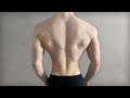 Do This Every Day For BACK ( 100% Fast Results )