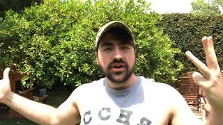 Liberal Redneck - Nuclear Dealbreaker