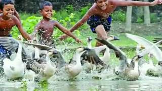 Childhood Life শৈশব জীবন কি কখনো ভুলার মত।