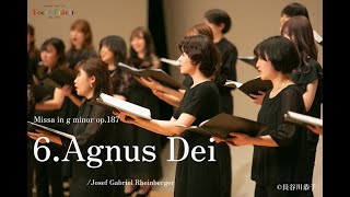 Agnus Dei (Missa in g minor op.187) / Voces Fidelis