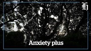 Unravelling anxiety: Anxiety plus | nzherald.co.nz