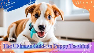 The Ultimate Guide To Puppy Teething