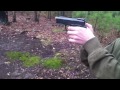 co2 wingun 321 airsoft review