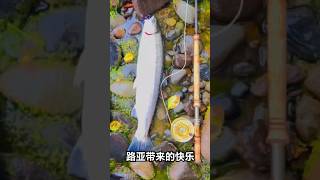 鱼口好不好，下竿了才知道#fish #fishing #fishingvideo #ocean  #fishinglife #river #lake #enjoy #casting #钓鱼 #钓鱼生活