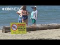 No-swim advisories issued for several Metro Vancouver beaches due to E. coli