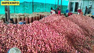 Nashik Lasalgaon Onion Market Rates | Onion Exporter From Nashik Maharashtra India