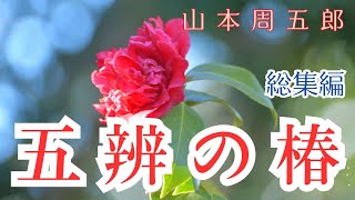 総集編【朗読　山本周五郎】『五辨の椿』　作業睡眠用　ナレーター七味春五郎　発行元丸竹書房