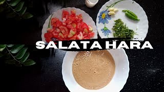 How to make salata Hara। side dish for Arabian dishes।Hot tomato salad |SHE Diaries