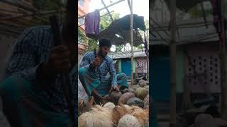 নারকেল ছোলার পদ্ধতি | an easy way to quiet coconut peel bangladesh