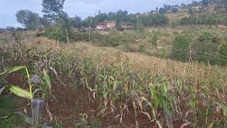 Beautiful 1 Acre of Land for Sale in Mua Hills Machakos, 1.5 miles to Kaseve Market@4.95m 0725884003