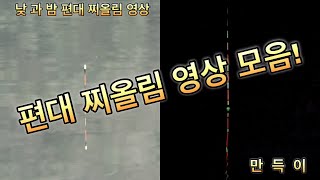 멍때리고 보는 편대 찌올림 영상 모음!! / 리뷰피싱 2024 시즌 시작 / 편대 / 찌올림