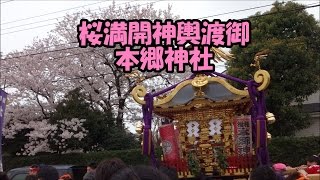 平成２７年  1/2♦海老名市本郷　本郷神社例大祭　神輿発輿