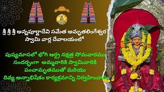 శ్రీ శ్రీ శ్రీ అన్నపూర్ణాదేవి సమేత అమృతలింగేశ్వర స్వామి వారి దేవాలయంలో దివ్య అన్నాభిషేకం