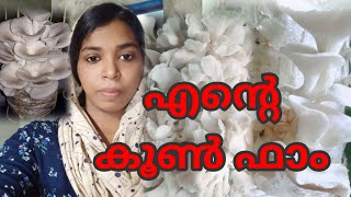 ഒരുപാട് ആളുകളുടെ സംശയങ്ങൾക്കുള്ള മറുപടി #mushroomfarming, #mushroomcultivation.