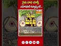 రైతు బాధ చూస్తే ఎమోషనల్ అవ్వాల్సిందే.. rachabanda muchatlu raj news telugu