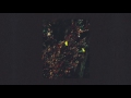 Dark Sky - The Passenger