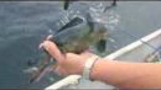 Hidden Bay Lodge Fly In Walleye and Northern Pike Fishing