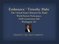 endurance _ timothy mahr