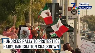 Sat. Feb. 1 | Hundreds rally to protest ICE raids, immigration crackdown | NBC 7 San Diego