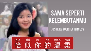 Qia Shi Ni De Wen Rou - 恰似你的温柔 - Teresa Teng (邓丽君) - Lagu Mandarin Subtitle Indonesia Pinyin