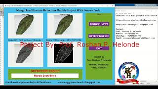 Mango Leaf Disease Detection Using Image Processing With Source Code | Matlab Project Plant Disease
