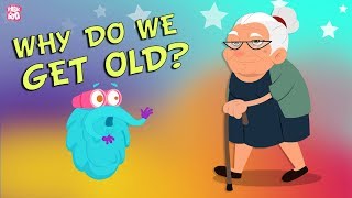 Why Do We Get Old? The Dr. Binocs Show | Best Learning s For Kids | Peekaboo Kid