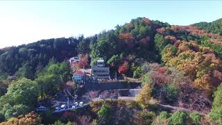 太平山神社山田家