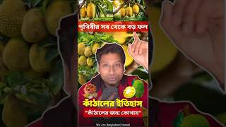 বিশ্বের সবচেয়ে বড় ফলের চমকপ্রদ ইতিহাস | কাঠালের অজানা গল্প