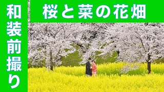 【和装前撮りフォトウエディング】奈良の桜と菜の花で大満足！