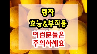 탱자 효능과 부작용 잘 알고 드셔야해요~