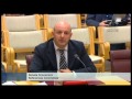 Richard Denniss & David Richardson - Corporate Tax Avoidance Senate Committee