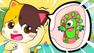 Don't Scratch Your Ear | Healthy Habits Song | Doctor Cartoon | Kids Songs | Kids Cartoon | BabyBus
