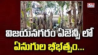 విజయనగరం ఏజెన్సీ లో ఏనుగుల బీభత్సం : Elephant Group Hulchul in Vizianagaram Agency | CVR News