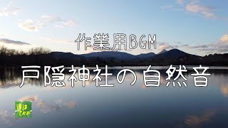 【作業用BGM】戸隠神社① 鏡池の自然音 美しい自然の音のなかでリラックス 勉強・作業・瞑想・マインドフルネスにおすすめ＜ゆほびか＞