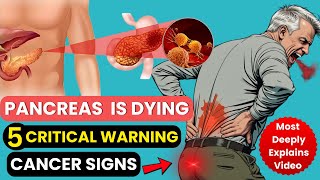 5 Warning Signs of Pancreatic Cancer That Will Shock You! Deep Explaination Video