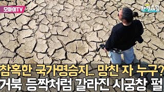 “환경부, 공주시, 국가유산청 직무유기 고발합니다”... 공주 고마나루 취재