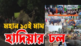 মহান ১০ই মাঘ হাদিয়ার ঢল মাইজভান্ডার দরবার শরীফ || Hoque TV