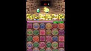 パズドラ ポリンの塔(ポリンと!)超級 攻略