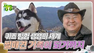 퀴즈 탐험 생생의 세계 : 썰매견 가족이 되기까지 [2TV 생생정보] | KBS 250203 방송