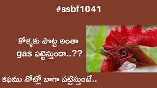 కోళ్ళకు నోట్ళో కపం పట్టేస్తుందా...??  || SSBF || sri Srinivasa breeding farm's