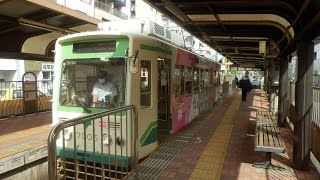 都電荒川線7000形7005号(城北信用金庫) 三ノ輪橋行き!早稲田駅発車！