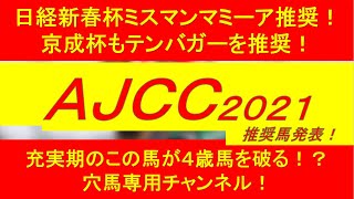 【AJCC 2021】アメリカジョッキークラブカップ！4歳馬は不安！？充実のこの穴馬で勝負！