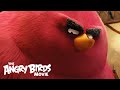 The Angry Birds Movie - Clip: Meet Terence