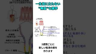 [人生の無駄] 絶対見ないで！！役に立たない雑学3選