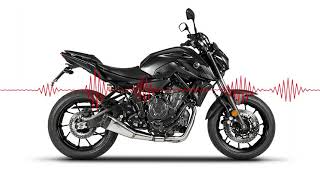 Yamaha MT 07 with Zard Exhaust (E5 homologated)