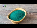 spirulina nasıl kullanılır